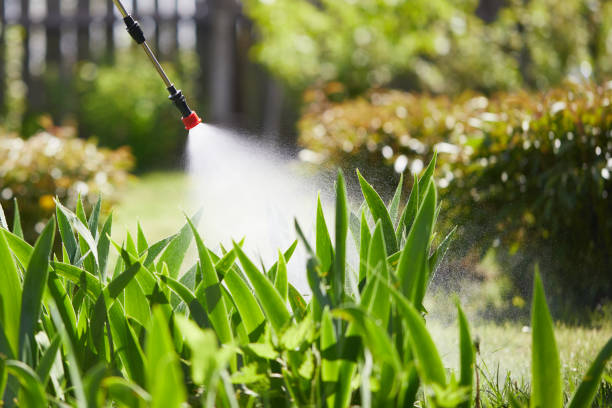 24/7 Emergency Mosquito Control experts in Socorro, TX