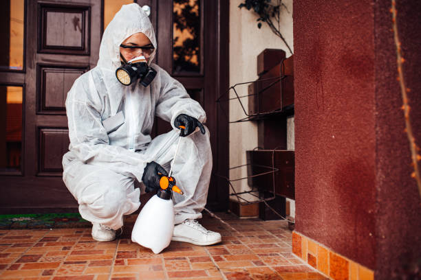 Reliable Mosquito Control contractor in Socorro, TX by Show Me Pest Control